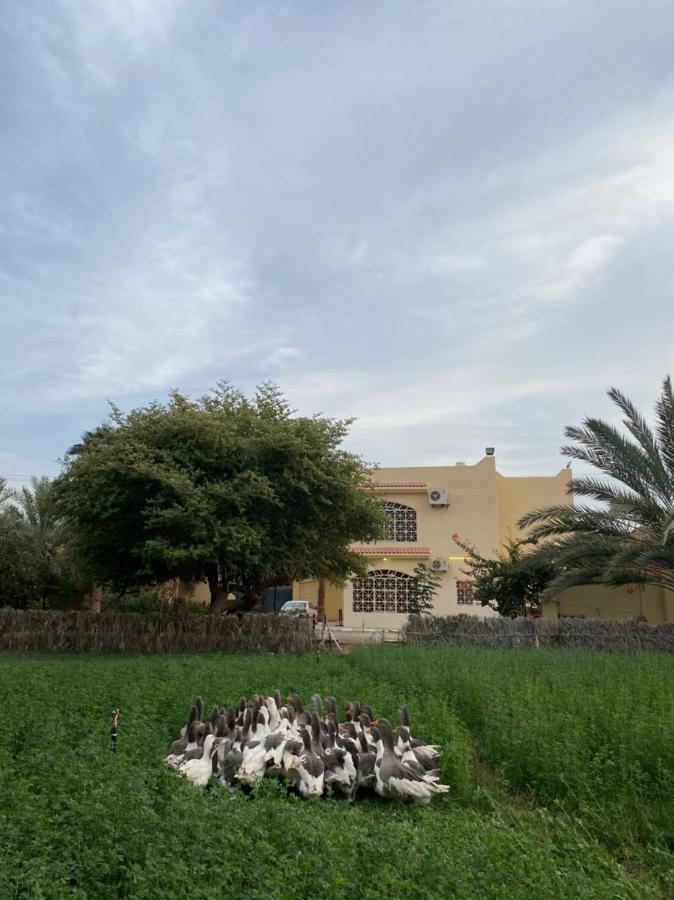 فيلا آفيري Aviary Villa Al Ula Exterior photo